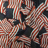 Metallic American Flag
