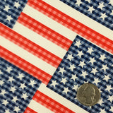 Large Semi Transparent American Flags