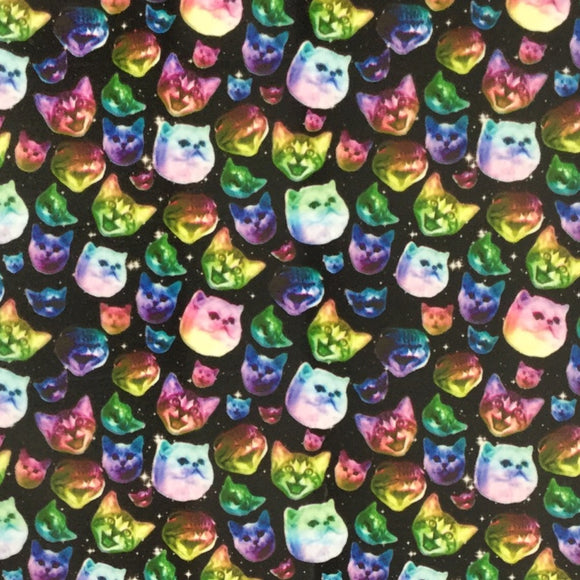 Mini Rainbow Cats