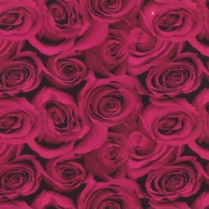 Roses Black & Pink