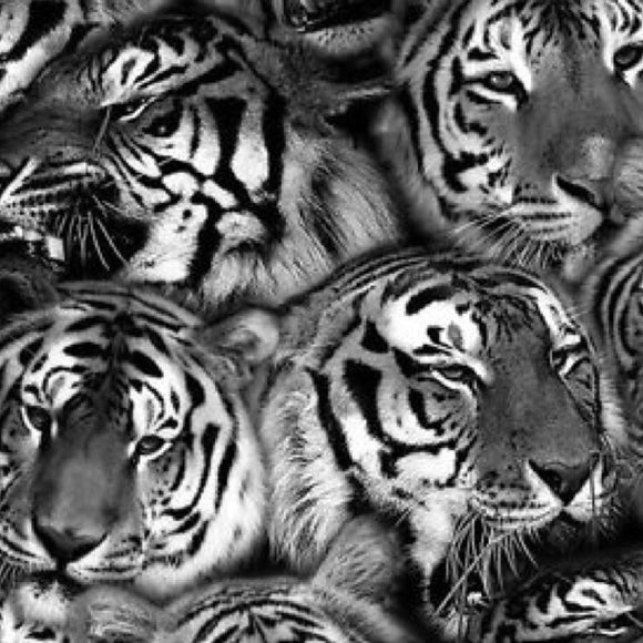Tiger Heads