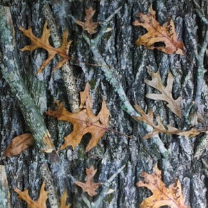 Oak Leaves Camouflage