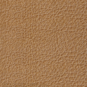 Tan Leather